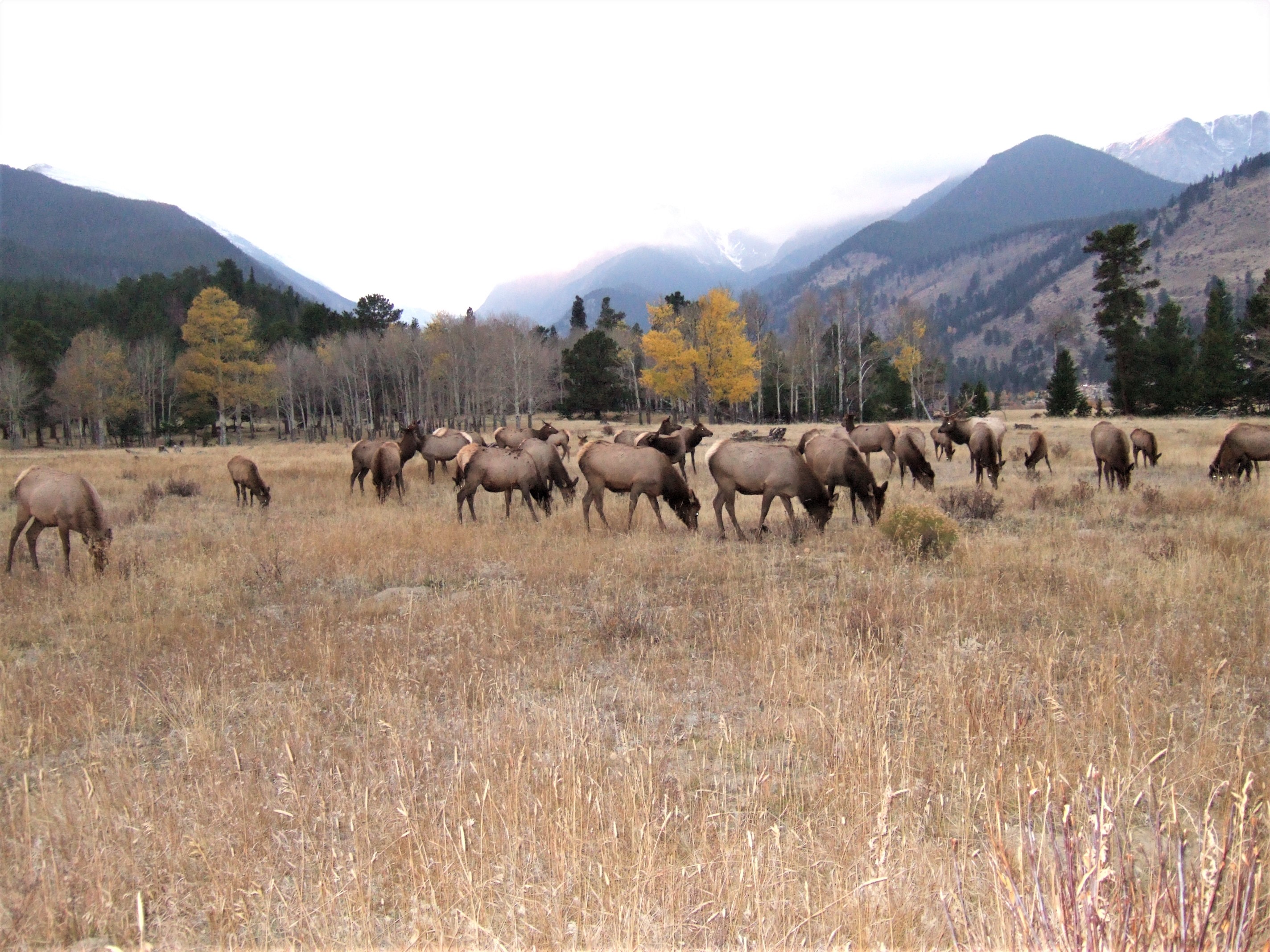 Rocky Mountains NP, Colorado